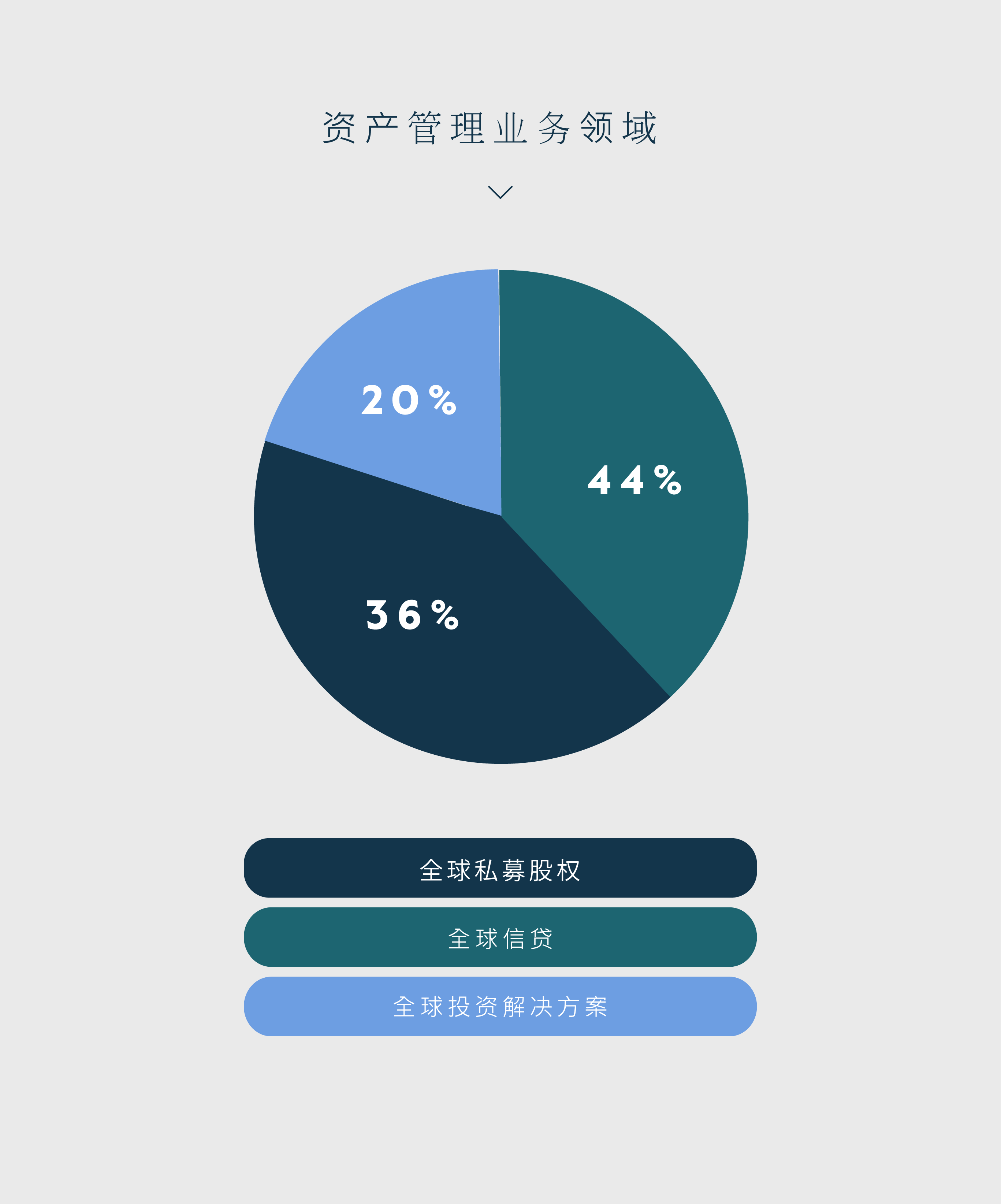 AUM by Segment - Chinese